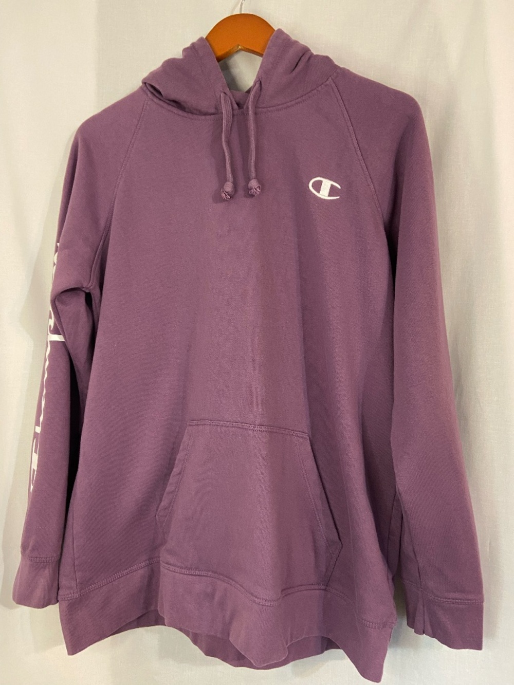 Champion Sweatshirt Men's Medium Eggplant Purple Hoodie Pullover